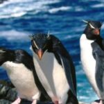 如何在赏金国际官网上进行有效的交易 7nd46v