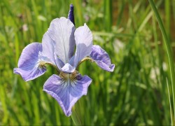 赏金国际的法律法规:各国对赏金猎人的不同规定 赏金国际的法律法规:各国对赏金猎人的不同规定