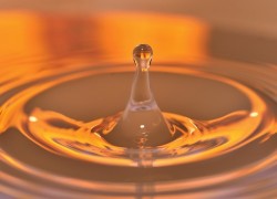 赏金国际H5在社交媒体营销中的作用 赏金国际H5在社交媒体营销中的作用