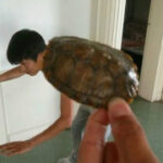 如何在赏金国际app上保持积极心态,迎接挑战与机遇 htac3vy