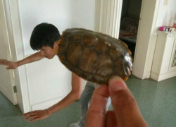 如何在赏金国际app上保持积极心态,迎接挑战与机遇 如何在赏金国际app上保持积极心态,迎接挑战与机遇