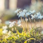 赏金国际:探索全球赏金猎人的传奇故事 ix1ly