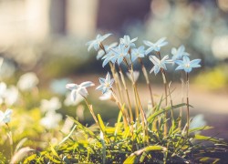 赏金国际:探索全球赏金猎人的传奇故事 赏金国际:探索全球赏金猎人的传奇故事