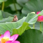 赏金国际app的更新与新功能介绍,保持赚钱的竞争力 j8250q