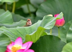 赏金国际app的更新与新功能介绍,保持赚钱的竞争力 赏金国际app的更新与新功能介绍,保持赚钱的竞争力