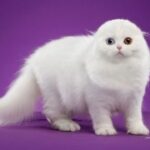 赏金国际pg的支付方式与交易安全保障 k13g8nzw