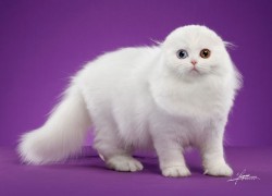 赏金国际pg的支付方式与交易安全保障 赏金国际pg的支付方式与交易安全保障