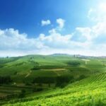 赏金国际的跨国追捕:国际合作与信息共享 lvz60pvi