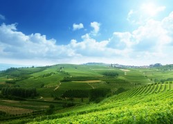 赏金国际的跨国追捕:国际合作与信息共享 赏金国际的跨国追捕:国际合作与信息共享