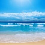 探索赏金国际app的多种赚钱方式与技巧 mmbt91t