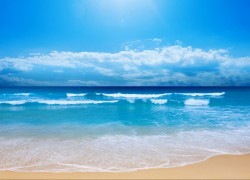 探索赏金国际app的多种赚钱方式与技巧 探索赏金国际app的多种赚钱方式与技巧