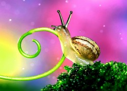 如何有效利用赏金国际平台进行投资 如何有效利用赏金国际平台进行投资