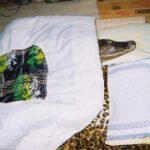 如何利用数据分析提升赏金国际pg的盈利 ormm34